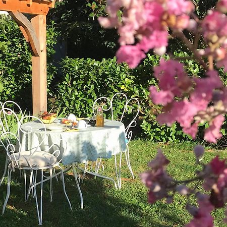 לינה וארוחת בוקר Mercuès Le Relais Des Anges מראה חיצוני תמונה
