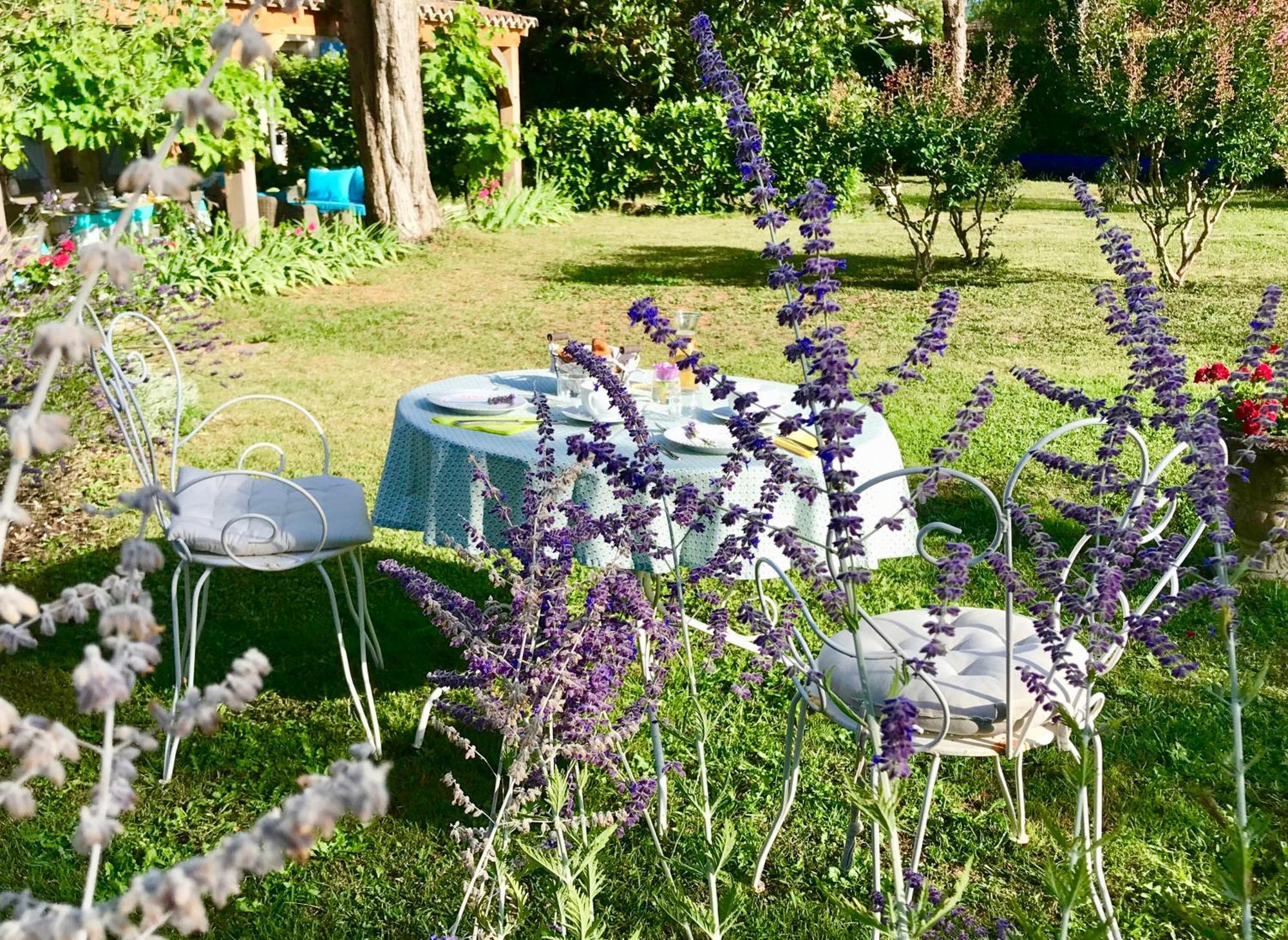 לינה וארוחת בוקר Mercuès Le Relais Des Anges מראה חיצוני תמונה