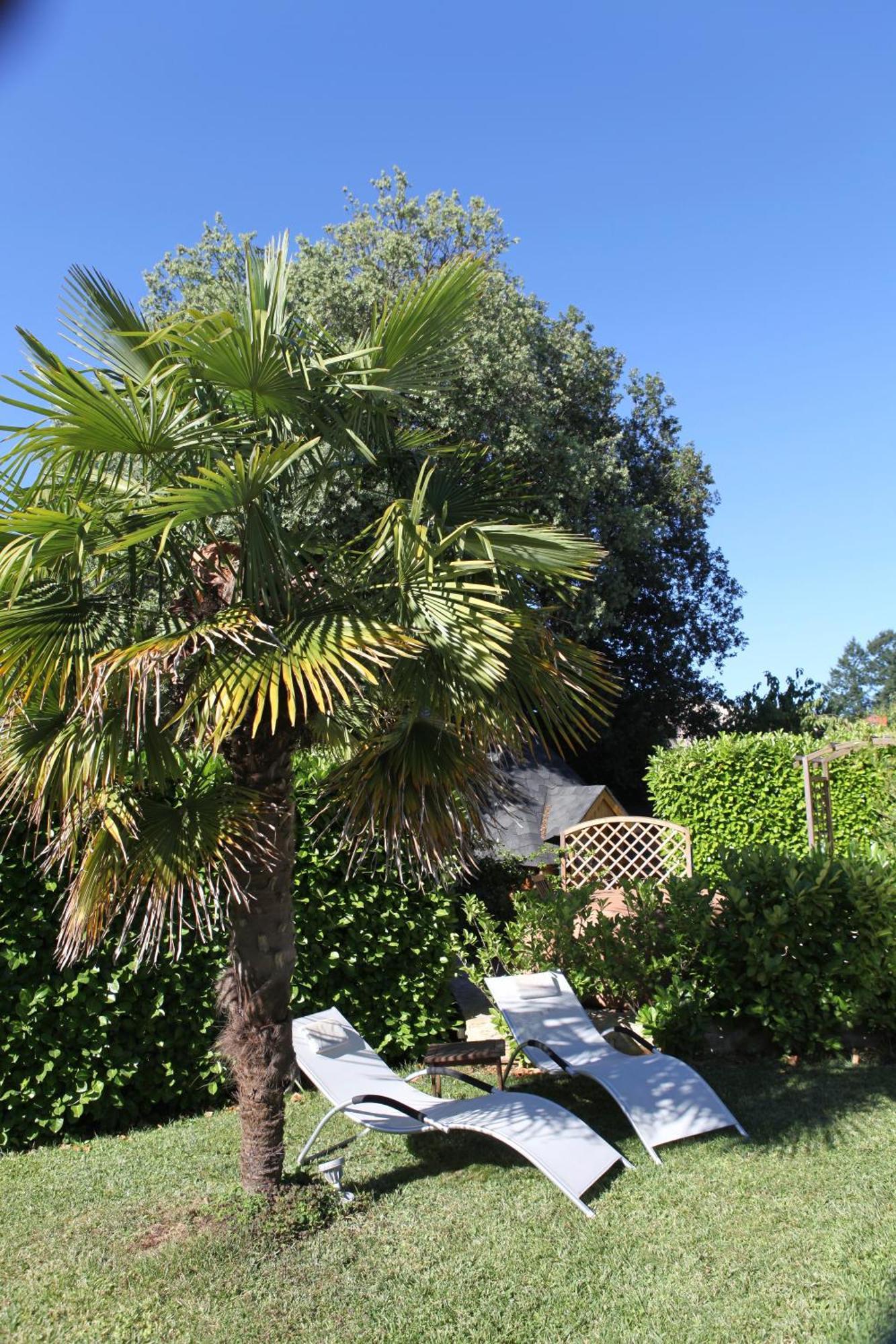 לינה וארוחת בוקר Mercuès Le Relais Des Anges מראה חיצוני תמונה